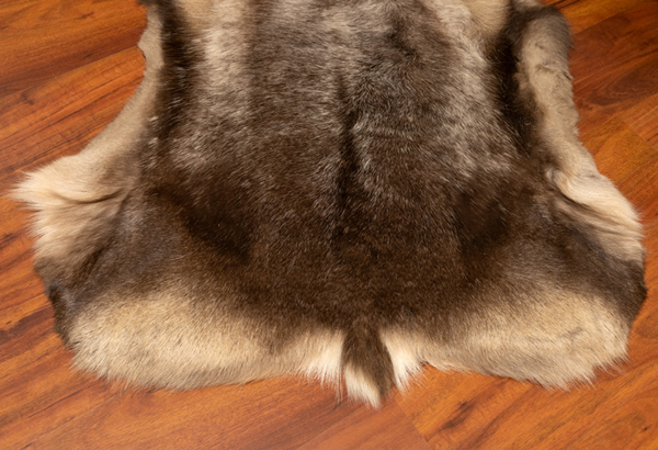 Deer Pelts